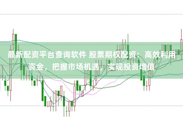 最新配资平台查询软件 股票期权配资：高效利用资金，把握市场机遇，实现投资增值