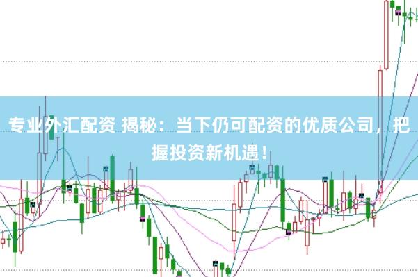 专业外汇配资 揭秘：当下仍可配资的优质公司，把握投资新机遇！
