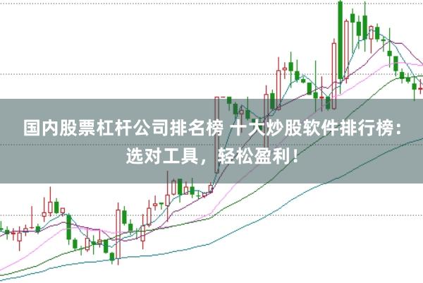 国内股票杠杆公司排名榜 十大炒股软件排行榜：选对工具，轻松盈利！