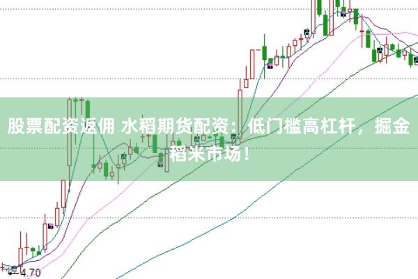 股票配资返佣 水稻期货配资：低门槛高杠杆，掘金稻米市场！