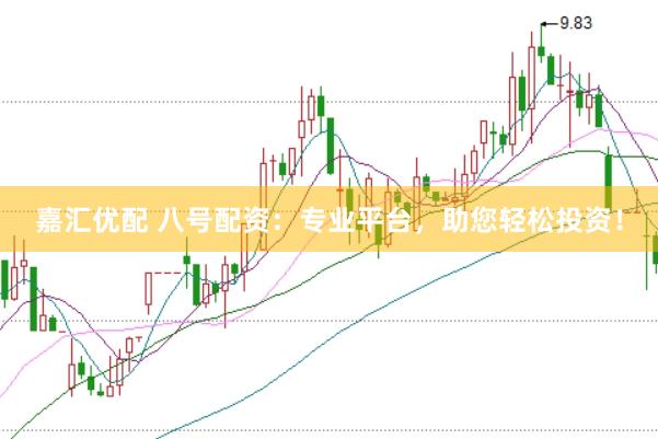 嘉汇优配 八号配资：专业平台，助您轻松投资！