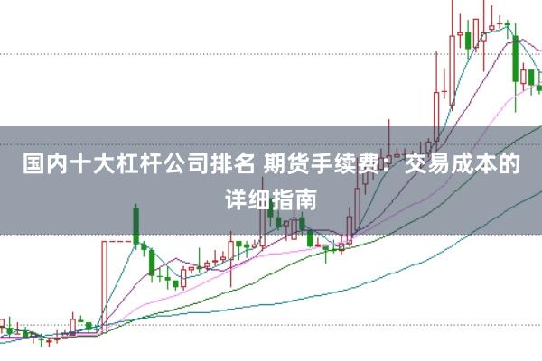 国内十大杠杆公司排名 期货手续费：交易成本的详细指南