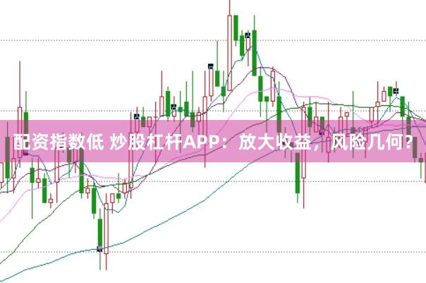 配资指数低 炒股杠杆APP：放大收益，风险几何？
