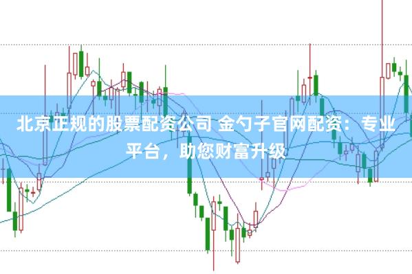 北京正规的股票配资公司 金勺子官网配资：专业平台，助您财富升级