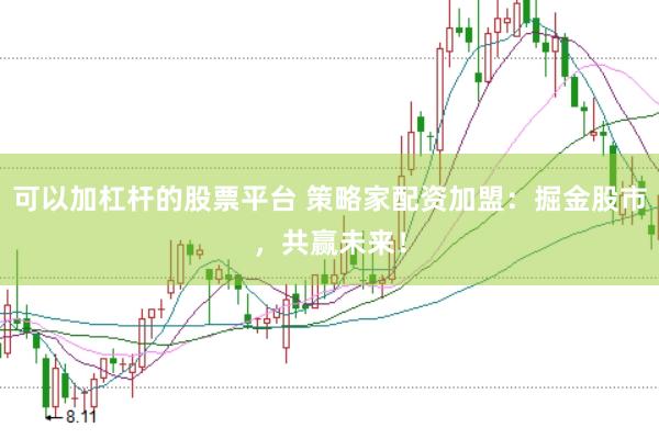 可以加杠杆的股票平台 策略家配资加盟：掘金股市，共赢未来！