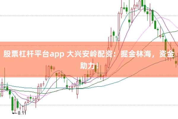股票杠杆平台app 大兴安岭配资：掘金林海，资金助力！