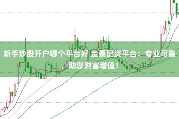 新手炒股开户哪个平台好 金景配资平台:专业可靠,助您财富增值!