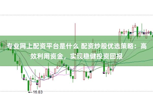 专业网上配资平台是什么 配资炒股优选策略:高效利用资金,实现稳健投资回报