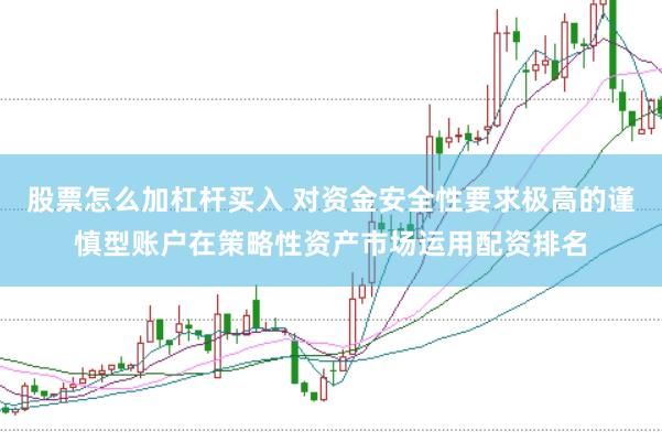 股票怎么加杠杆买入 对资金安全性要求极高的谨慎型账户在策略性资产市场运用配资排名